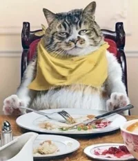 stuffedcat.jpg