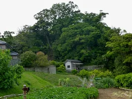 kinugasa-castle-04.webp