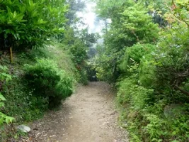 kinugasa-castle-10.webp