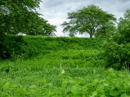 namioka-castle-09.webp