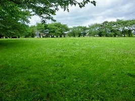 namioka-castle-10.webp