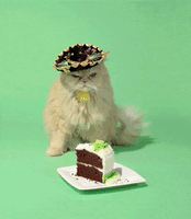 200.gif