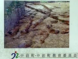 nakazato-castle-09.webp