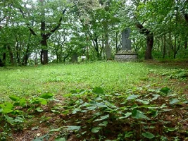 nakazato-castle-13.webp