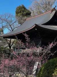 togakuin02.webp