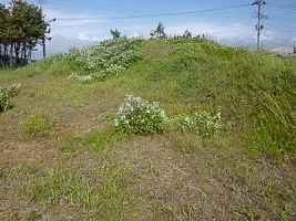 fukushima-castle-11.webp