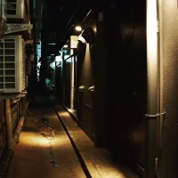 I was once almost pushed into a room in kabukicho...