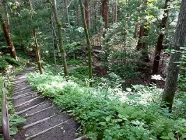 tanesato-castle-06.webp