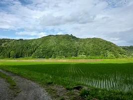 tanesato-castle-10.webp