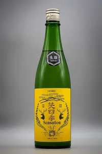 Emishiki Sensation Gold Label Namazake (笑四季 センセーション金ラベル生酒)