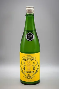 emishiki-sensation-gold-label-namazake-05.webp