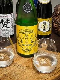 emishiki-sensation-gold-label-namazake.webp