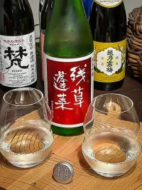oyatakashi-zanso-horai-junmai-ginjo-red-label.webp