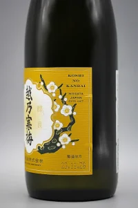 Koshi no Kanbai Shin Ginjo (石本酒造 越乃寒梅 澵 吟醸) Koshi no Kanbai Shin Ginjo (石本酒造 越乃寒梅 澵 吟醸)