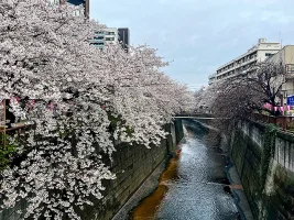 Meguro