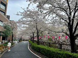 Meguro