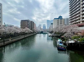 Tsukishima