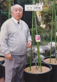 in japan.webp
