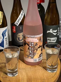 Garyūbai Junmai Ginjō Spring Has Come