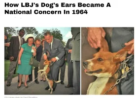 LBJ.webp