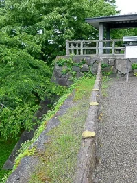hirosaki-castle-23.webp