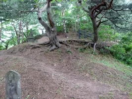 daibutsugahana-castle-01.webp