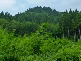shirihachi-date-01.webp