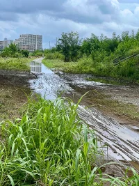 tamagawa-typhoon10-01.jpg