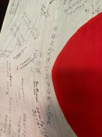 Flag 2.webp
