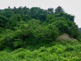 kakizaki-castle-05.webp