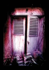 015door2.webp