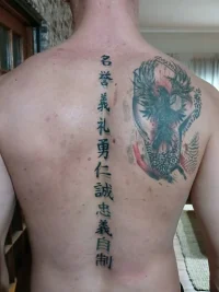 Image.webp