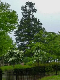 tanabu-date-06.webp