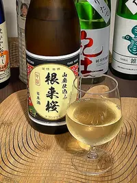 Nihonjō Negorozakura Yamahai Honjōzō