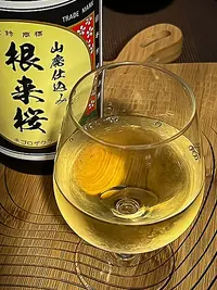 Nihonjō Negorozakura Yamahai Honjōzō