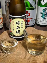 Nihonjō Negorozakura Yamahai Honjōzō