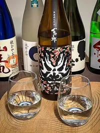 Hyakujūrō Junmai Ginjō Hiyori Muroka Namagenshu