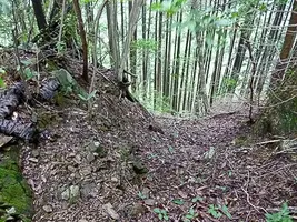 hinohara-castle-10.webp