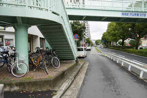 p955910203-2.jpg
