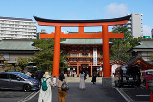 p839973646-2.jpg