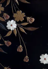 A4194_Closeup of Ivory flower with pink centre.webp