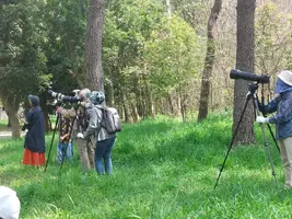Bird_watchers.webp