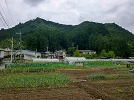 tokura-castle-01.webp