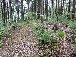 tokura-castle-05.webp