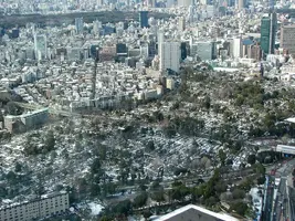 aoyama04.webp