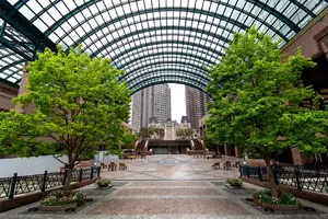 Ebisu - Daikanyama - Nakameguro