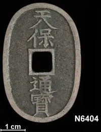 N6404_Reverse.webp