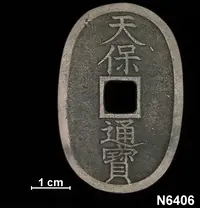 N6406_Reverse.webp