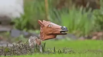 squirrel horse head.webp