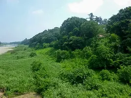 gion-castle-15.webp